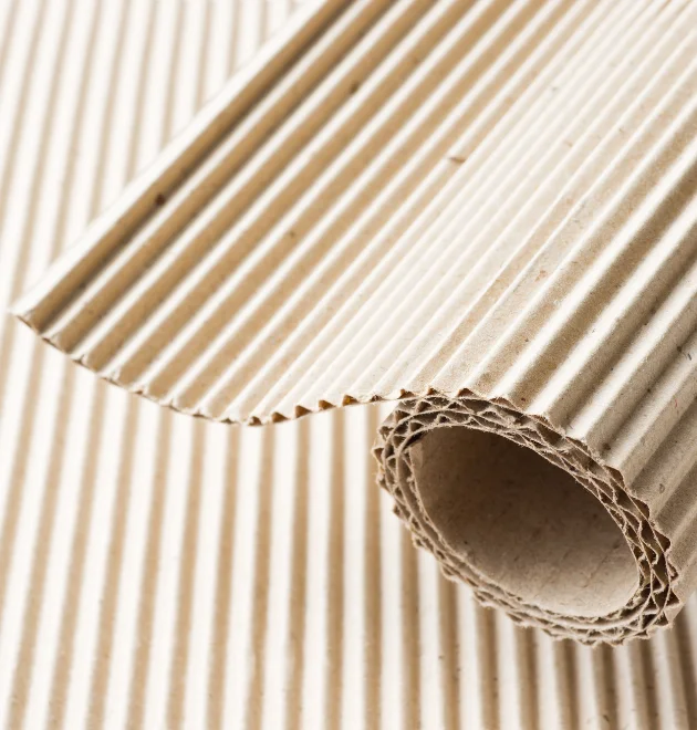 Rollo de carton