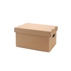 Cajas de Archivo con Tapa