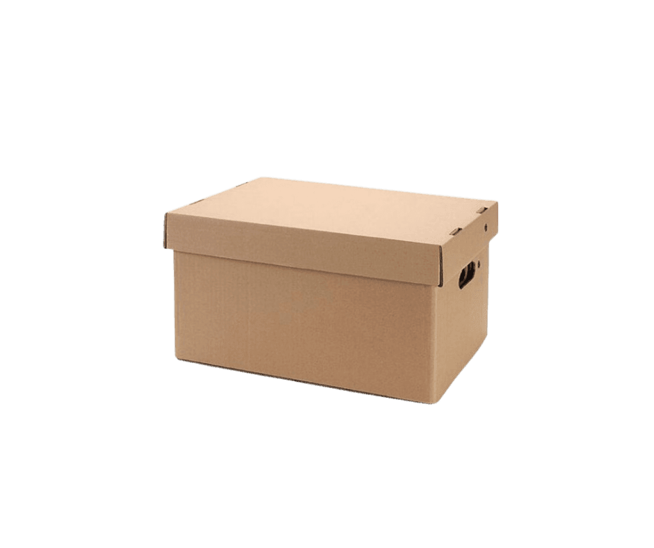 Cajas de Archivo con Tapa